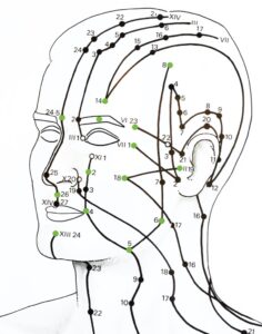 gellis facial acupuncture meridians