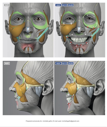 anatomy of expression gellis