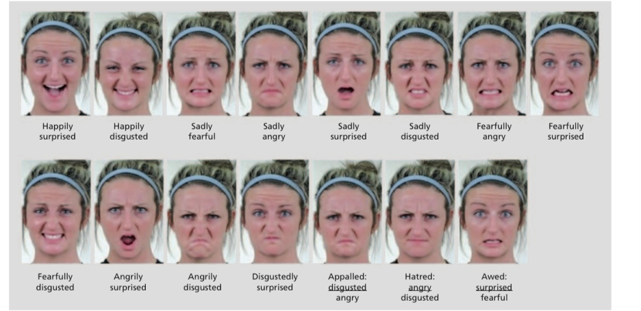 seven expressions