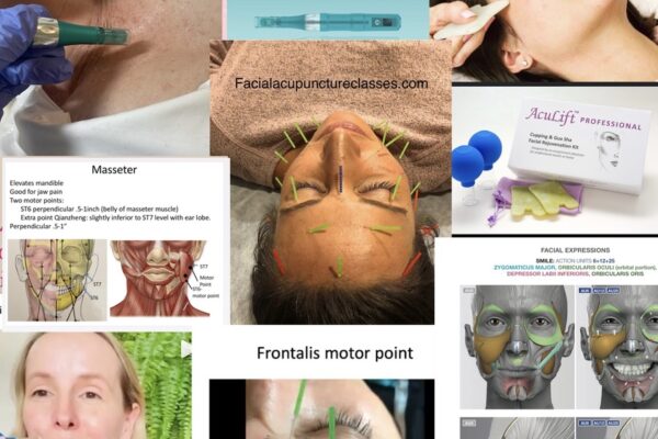 Advanced Certificate in Facial Acupuncture for comprehensive cosmetic acupuncture training